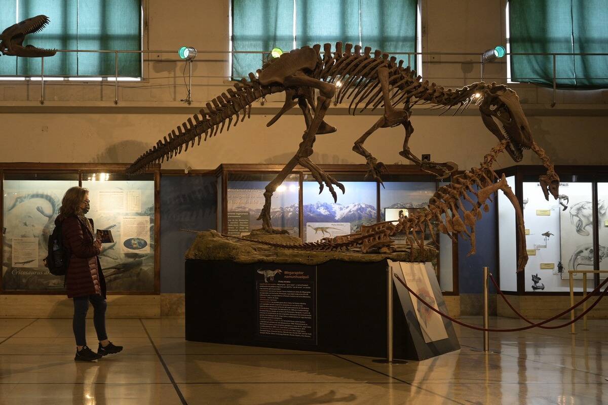 TOPSHOT-ARGENTINA-PALEONTOLOGY-DINOSAUR-MEGARAPTOR