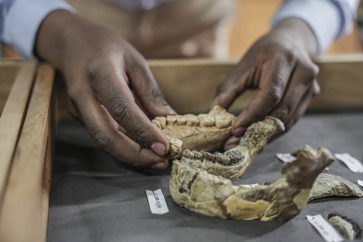TOPSHOT-ETHIOPIA-SCIENCE-PALAEONTOLOGY
