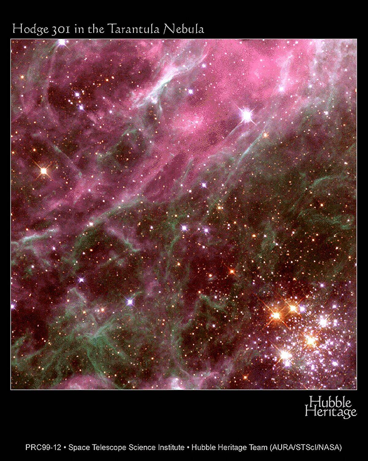 US-TARANTULA NEBULA