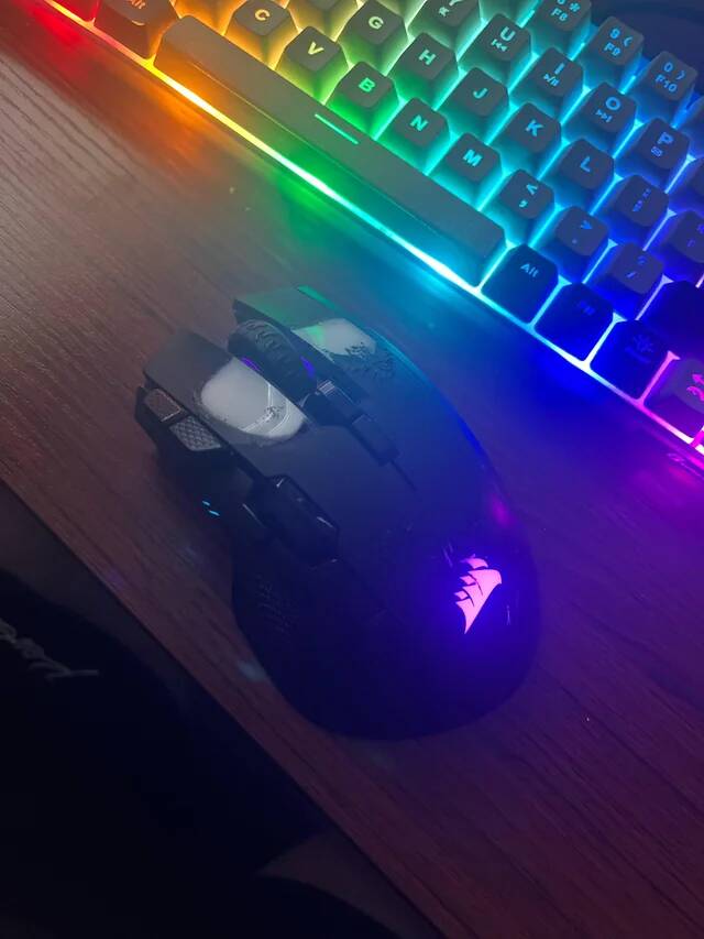 well-worn-gaming-mouse-v0-bsgvht1p94hg1