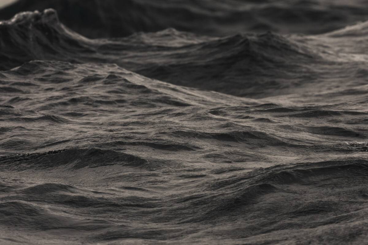 2025 Sydney To Hobart: Start