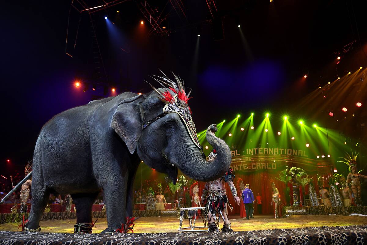 47th International Circus Festival : Day Two