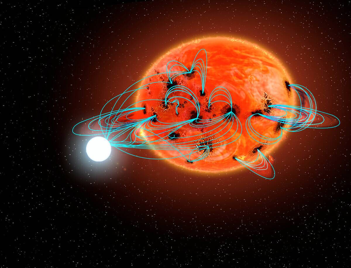 Calling_Dr_Frankenstein!_ Interactive_Binaries_Show_Signs_of_Induced_Hyperactivity_(noao0701a)