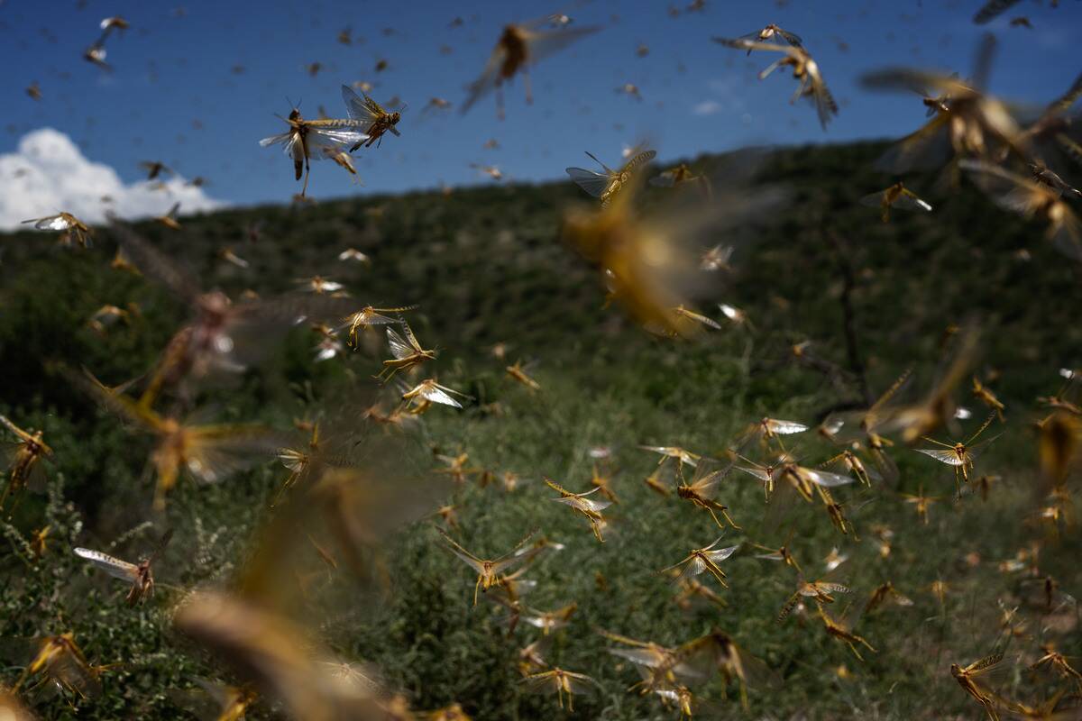 GettyImages-1215122367