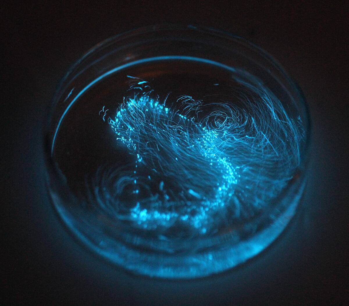 GettyImages-1290398610