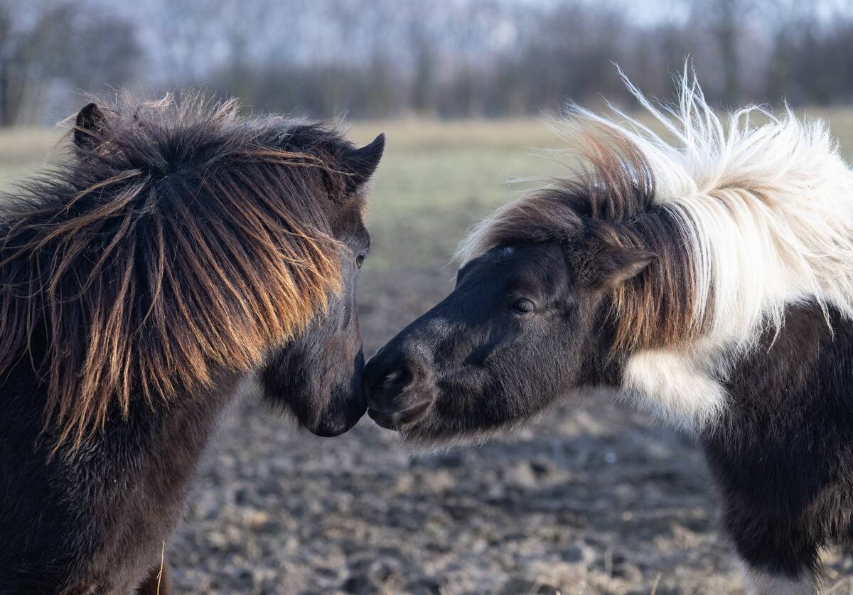 GettyImages-1861931081