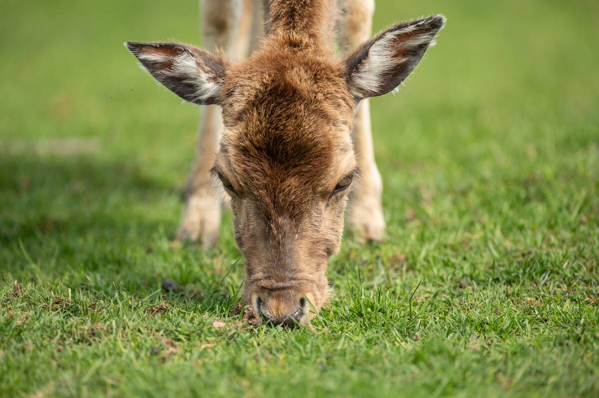 GettyImages-2153119590