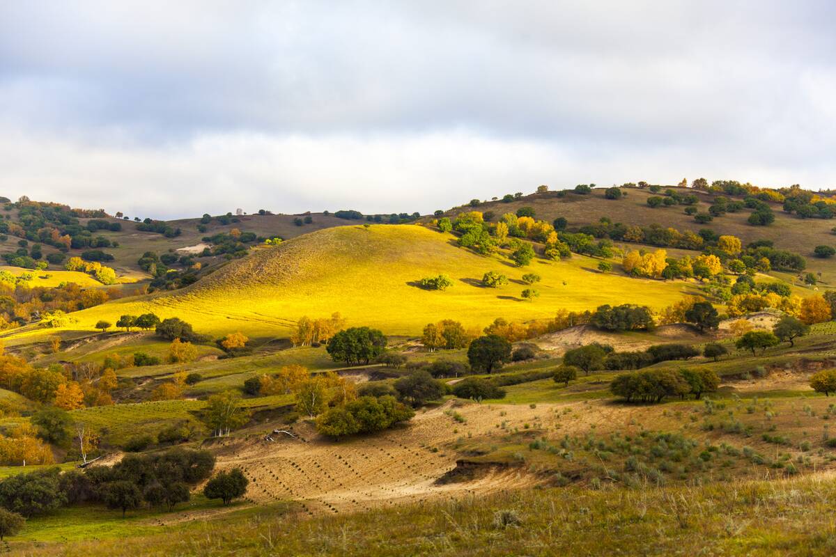 GettyImages-2174060376