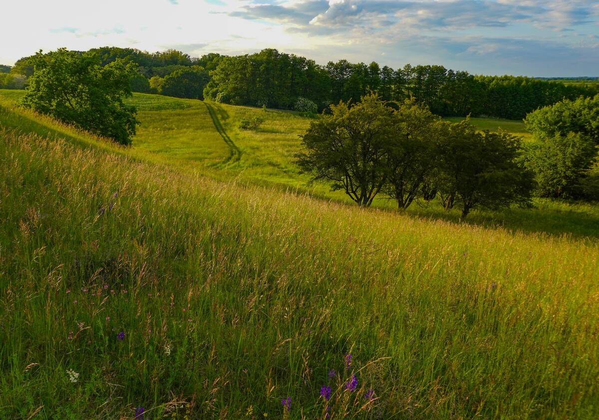 GettyImages-2217247073