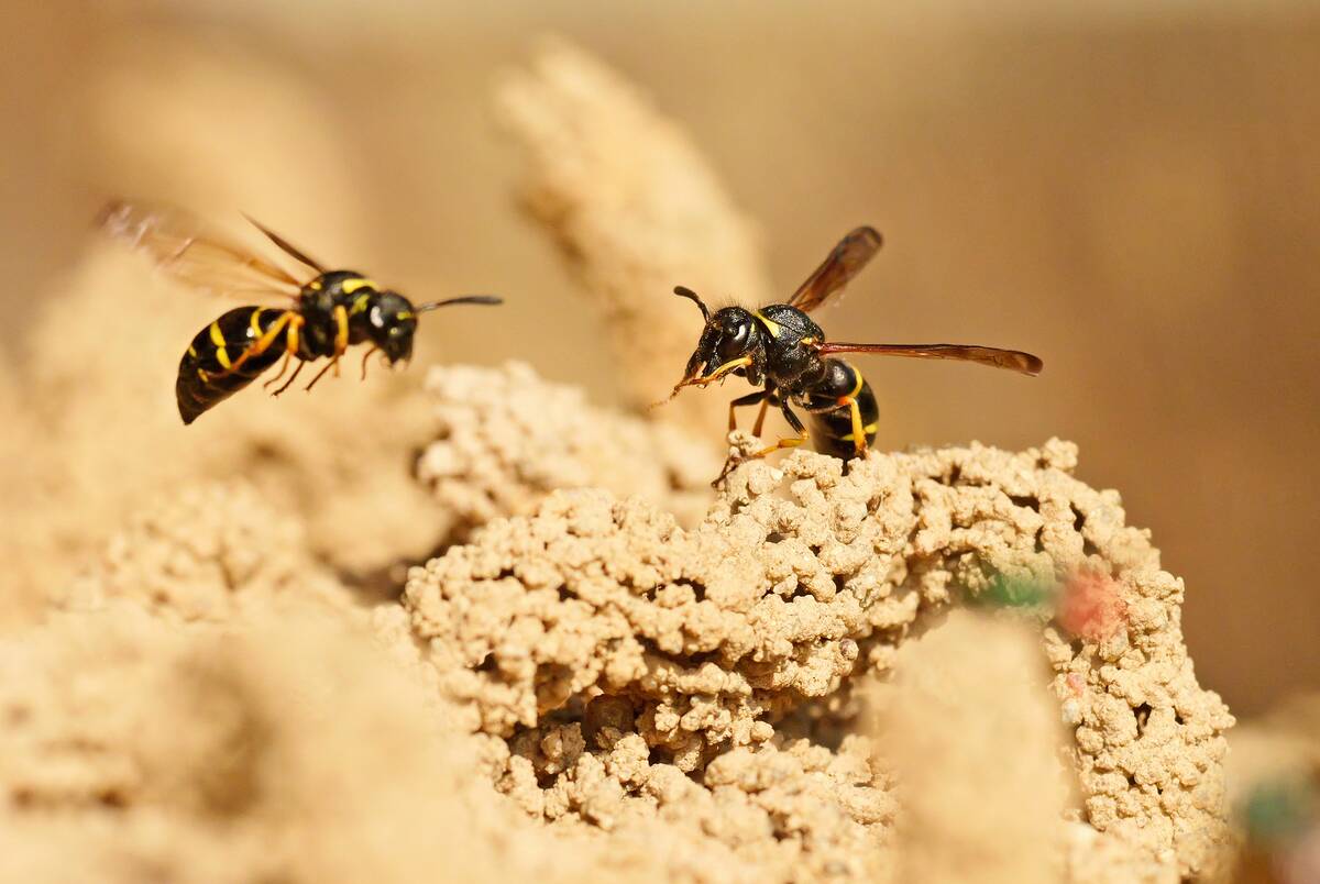 GettyImages-2217517628