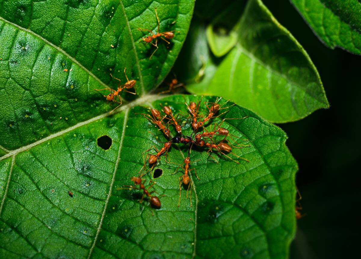 GettyImages-2218994120