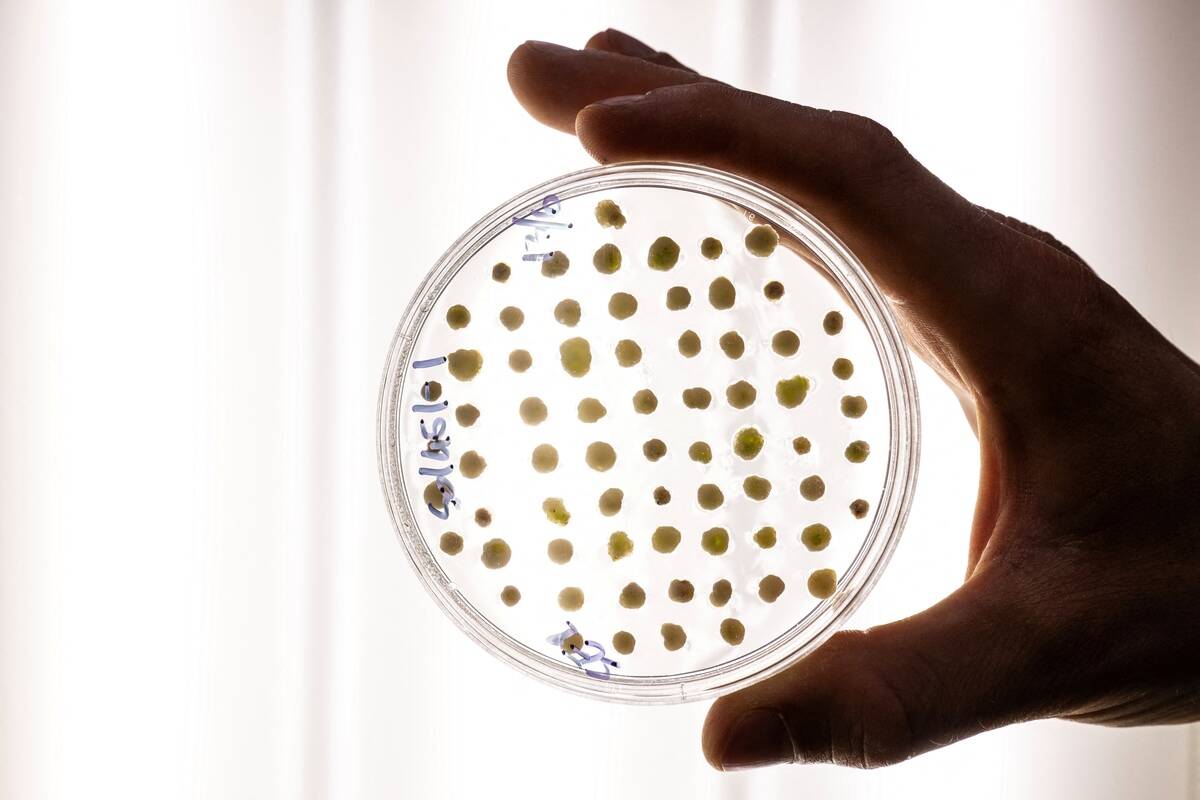 GettyImages-2224774844