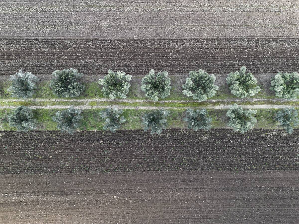 GettyImages-2241347274