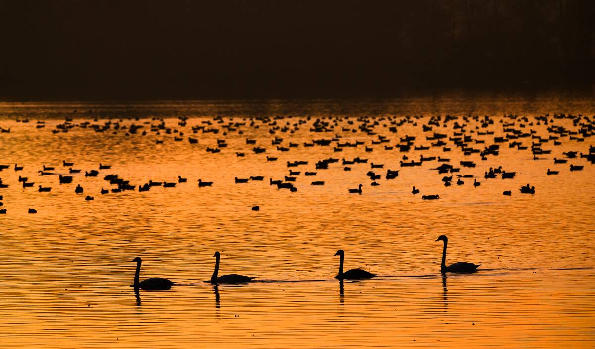 GettyImages-2250760392