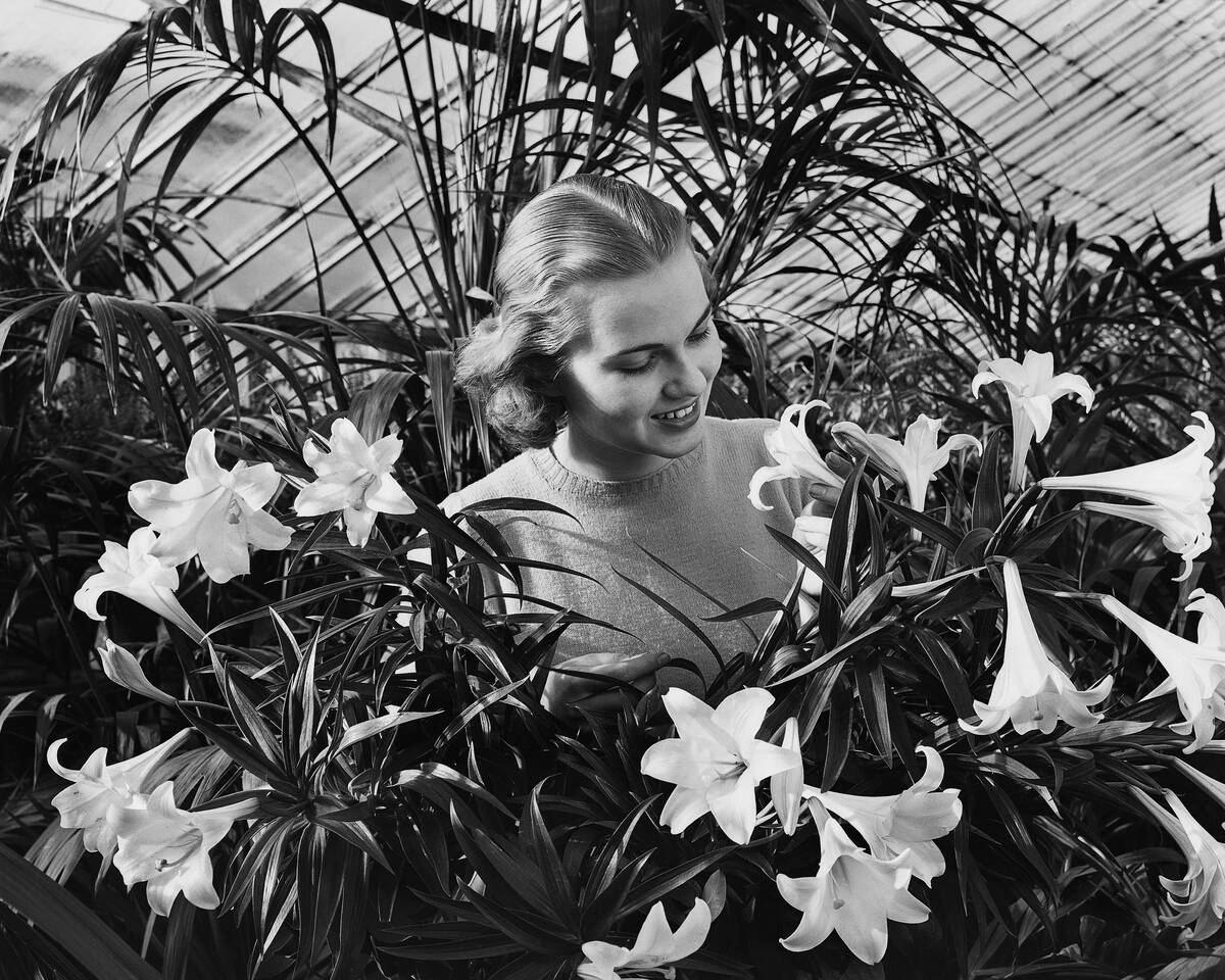 GettyImages-517423444