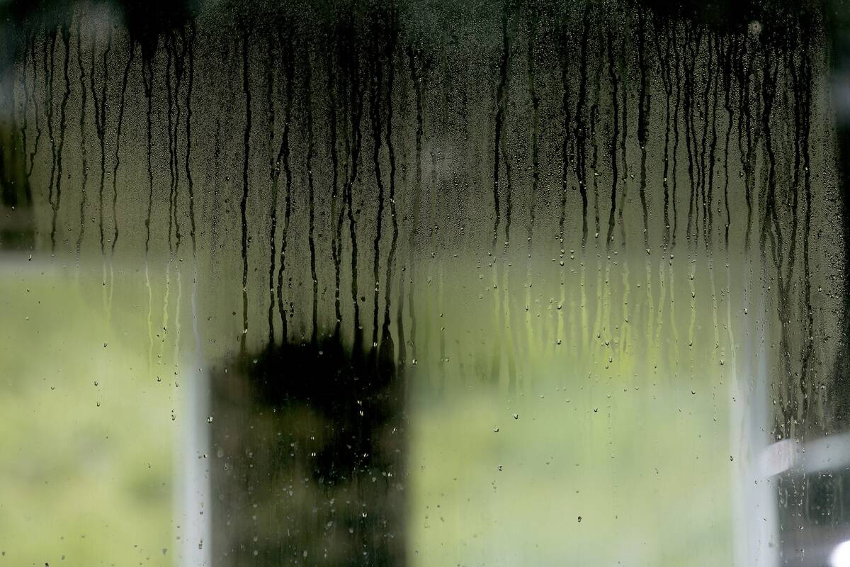 GettyImages-545538184