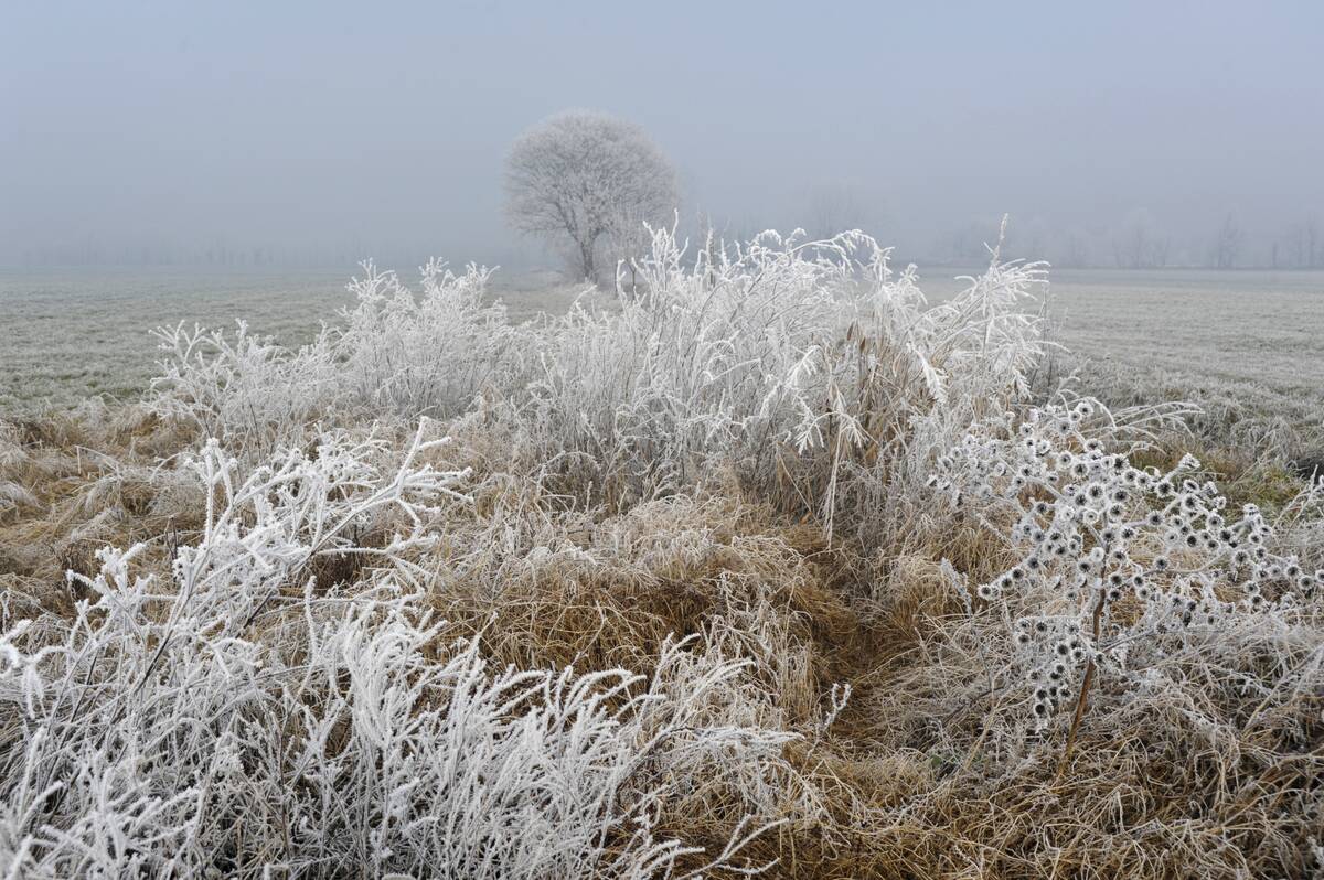 GettyImages-979016200