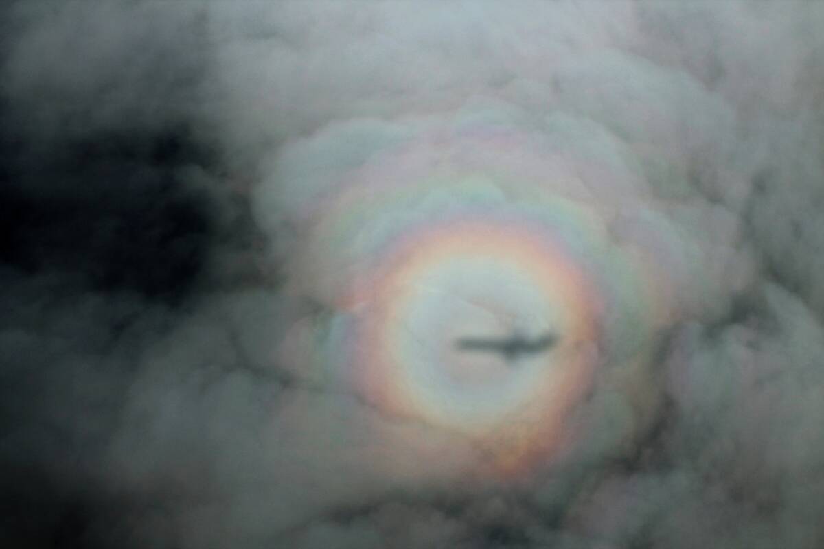 Glory,_Glory_How_I_Flew_You_(42134162782)