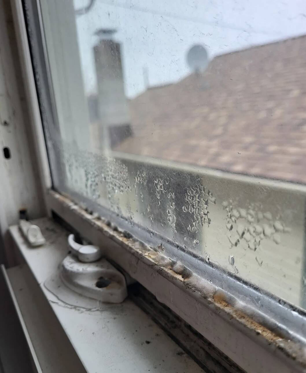 Screenshot 2025-12-16 at 11.36.32 AM