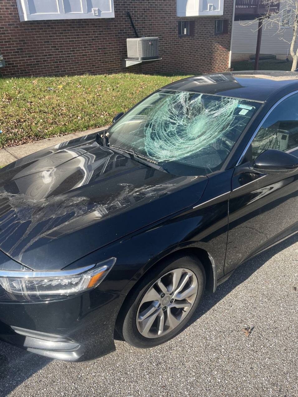 Screenshot 2025-12-16 at 4.27.17 PM