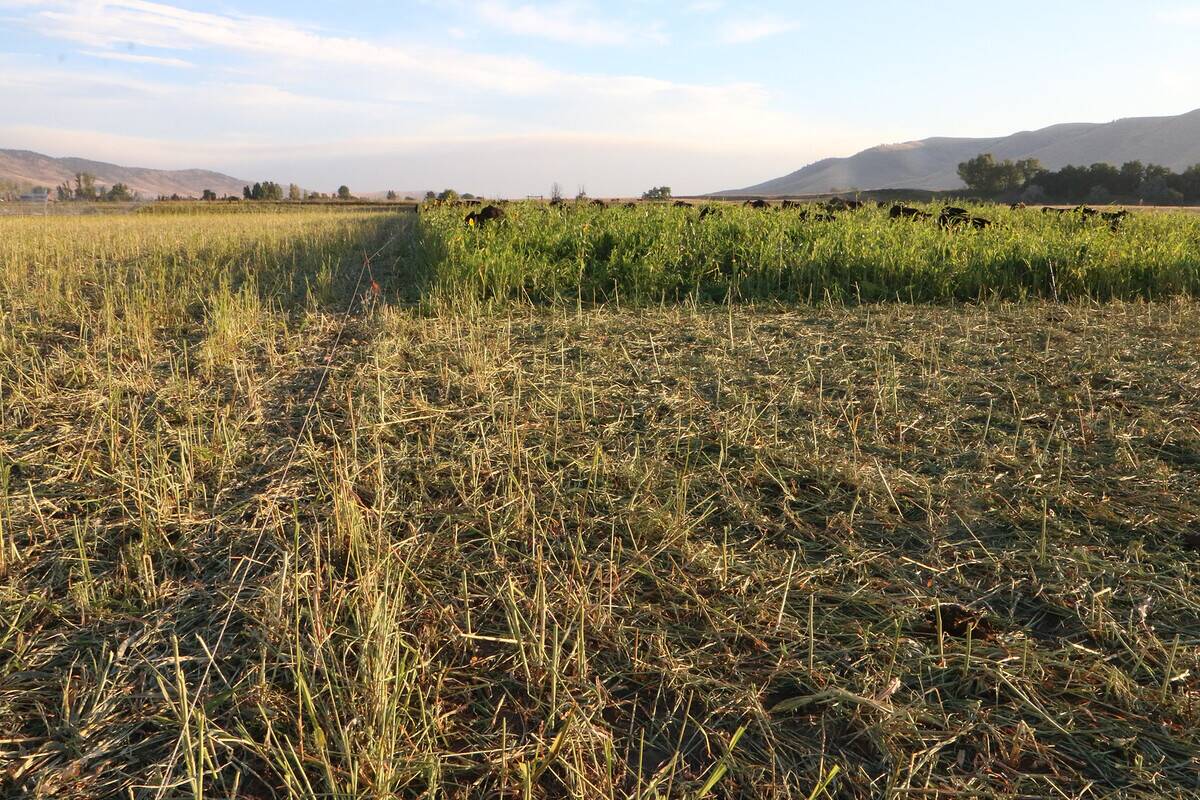 Soil_Health_RO_04_(38190375545)