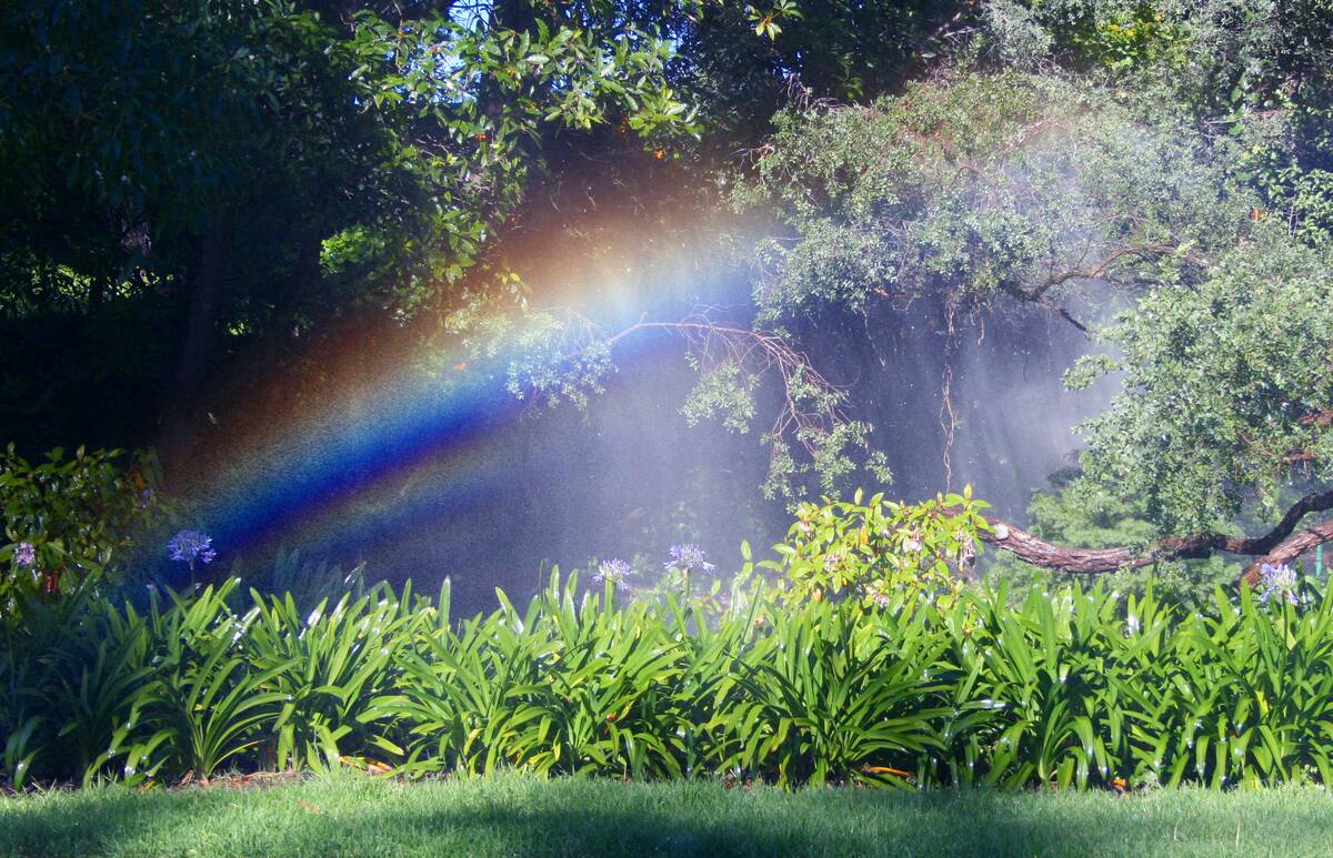 Sprinkler_Supernumerary_Rainbows