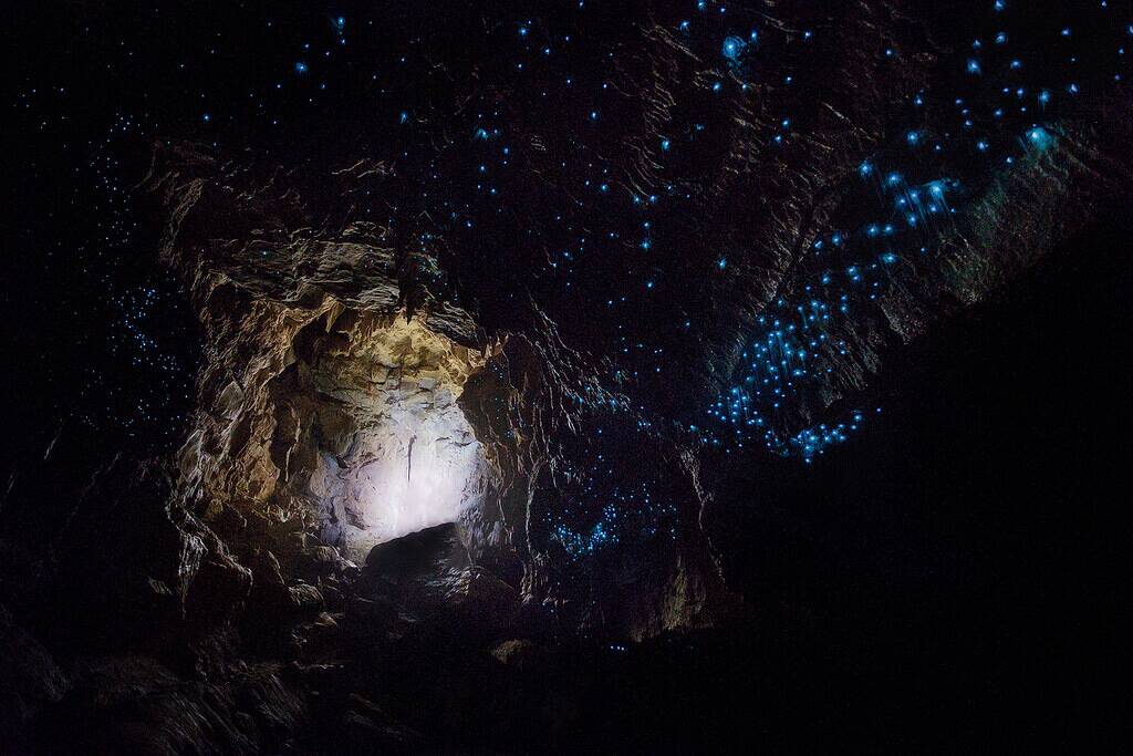 Waitomo_Cave