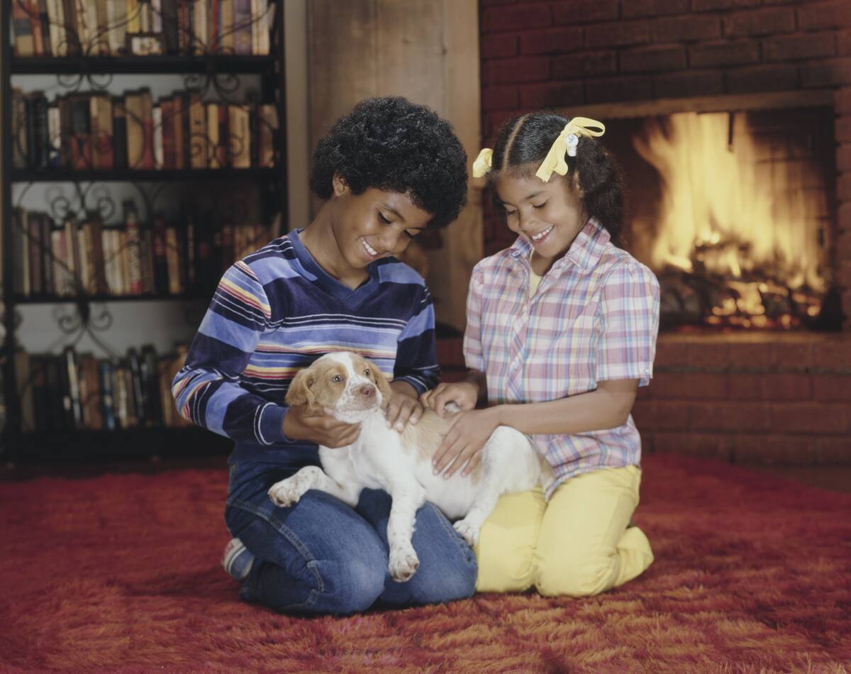 A Child's Best Friend