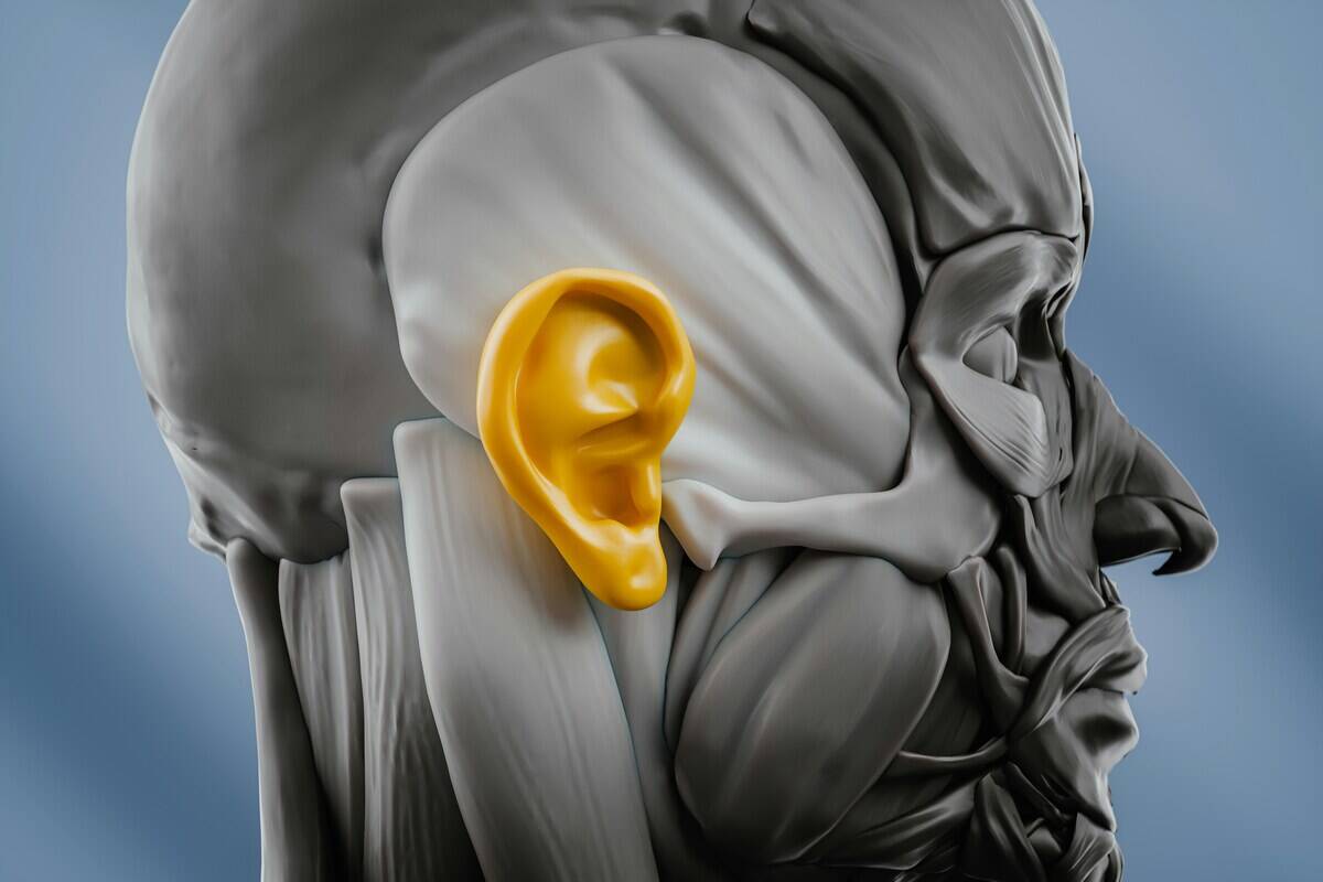 alex-shuper-jKGy_IY2Qf0-unsplash