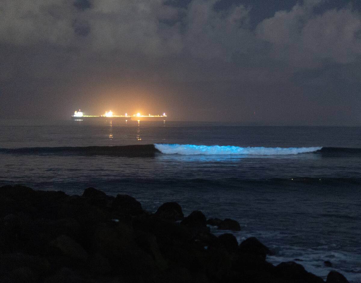 Bioluminescent waves are crashing again along Orange County beaches.