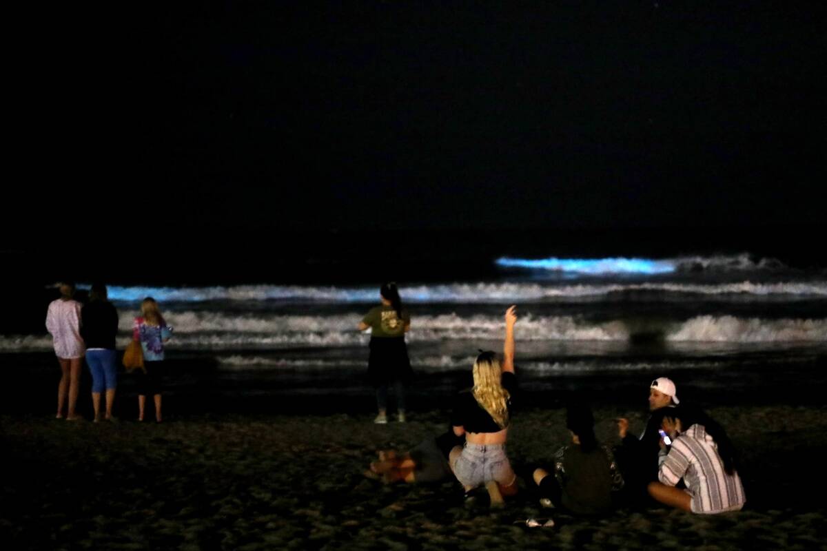 Bioluminescent Waves At Newport Beach