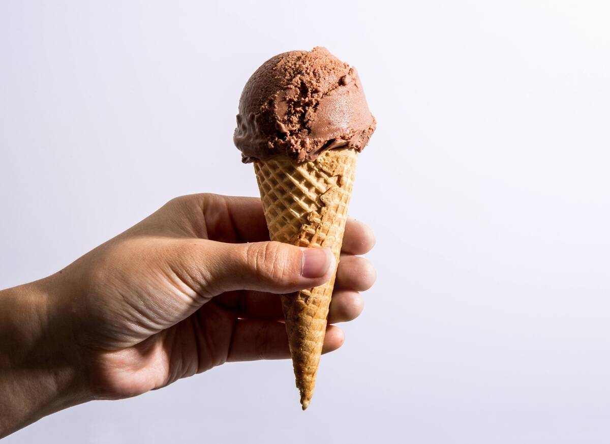 Bon Appetit - Chocolate Soy Vegan Ice Cream
