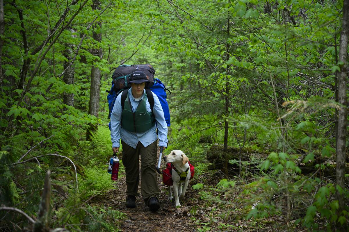 Canoe trip in Minnesota's Boundary Waters Canoe Area (BWCA)