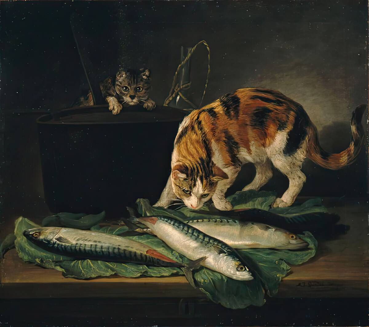 Cats And Fish