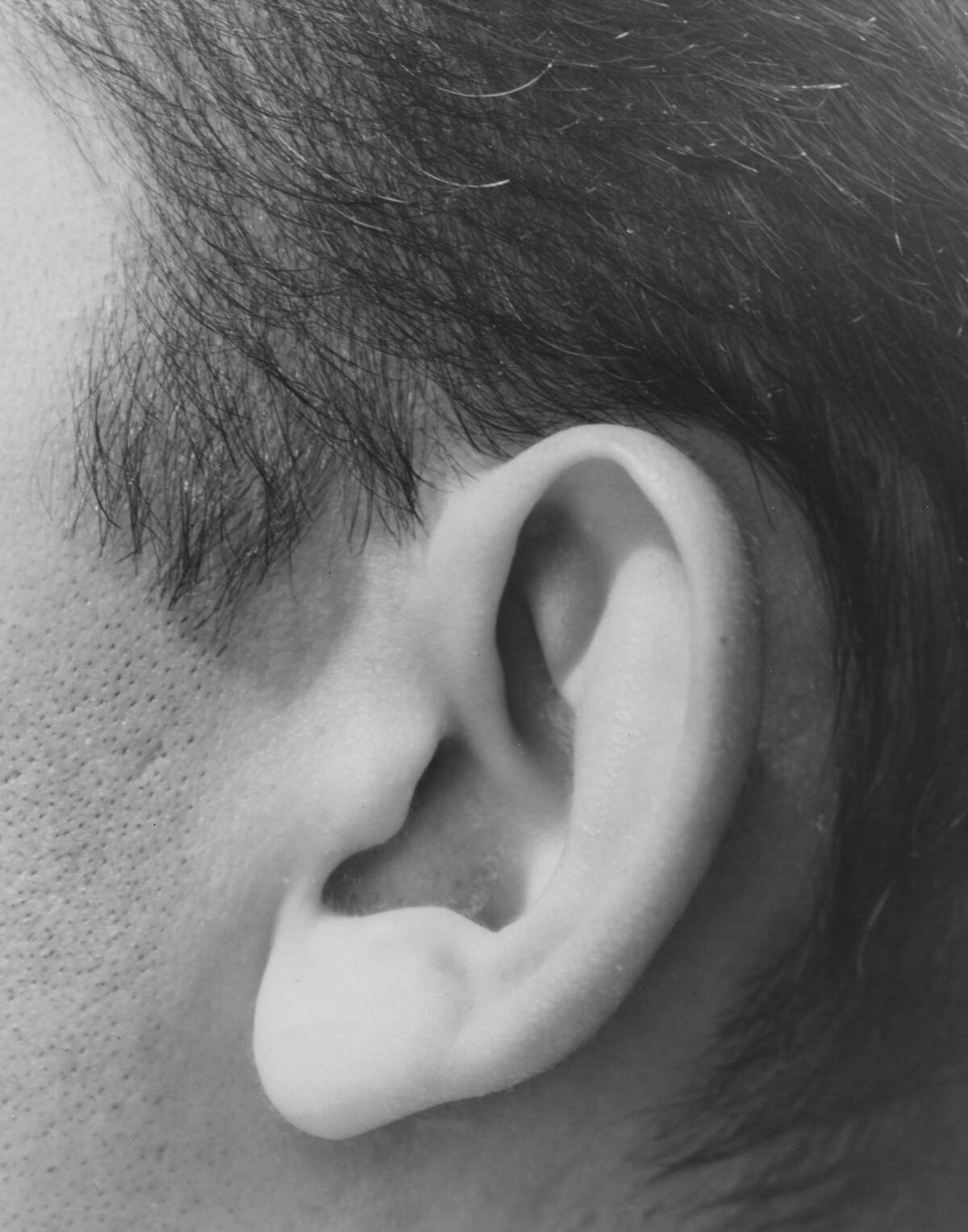 Close up of an Ear