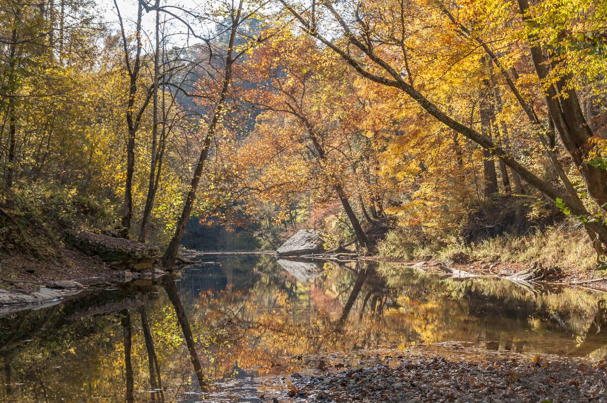 Colorful autumn scene in the Red River Gorge of Kentucky