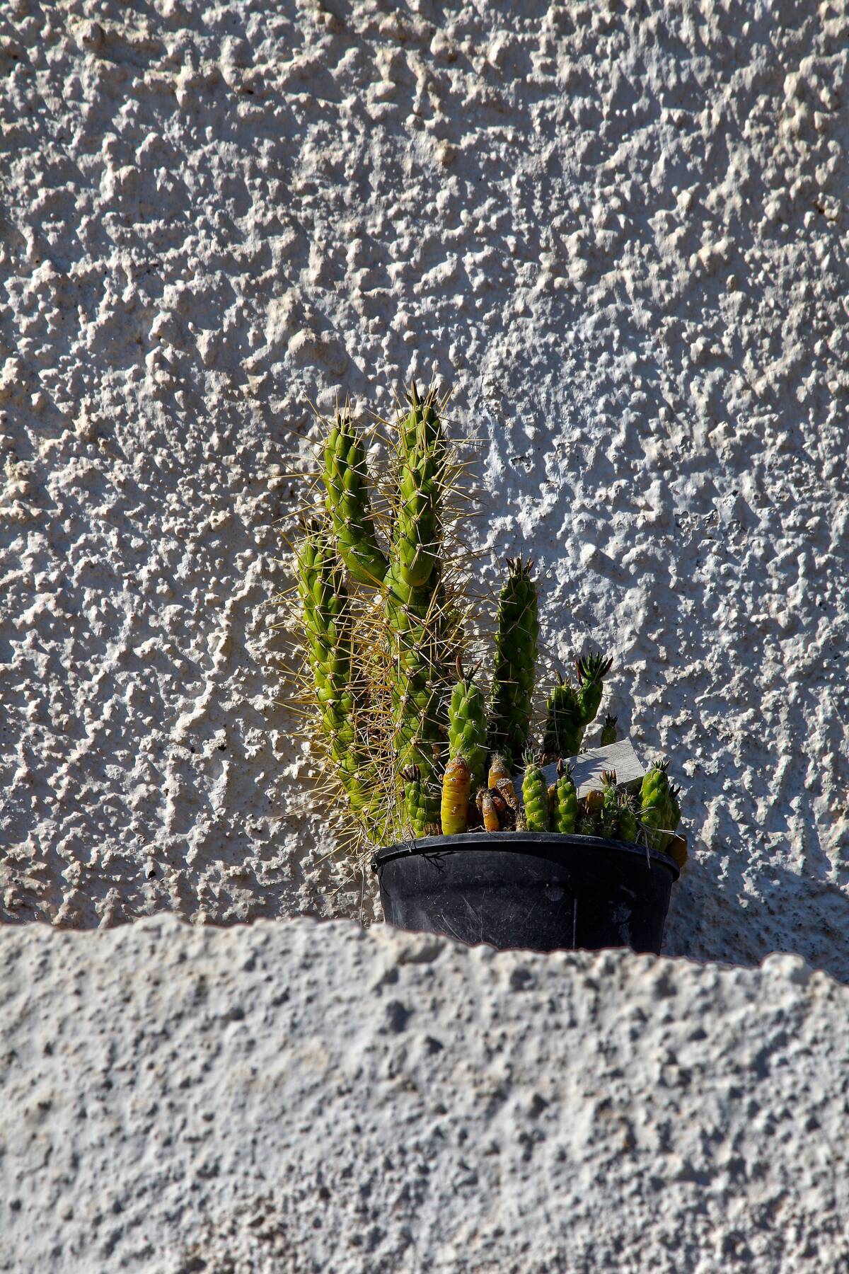 Daily Life On Santorini Island