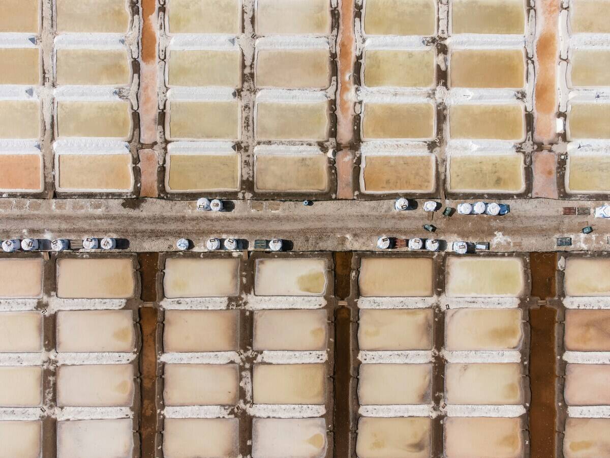 daniel-alexandre-pascoa-Mf2AmAfAL_s-unsplash