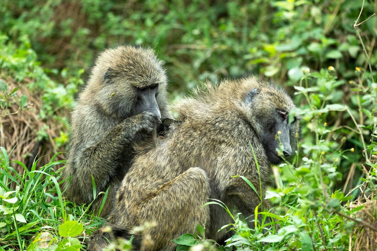 daniel-nyoka-k7zeckafFsM-unsplash