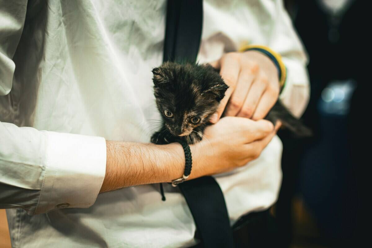 dheeraj-m-XcMEHVL6wBs-unsplash