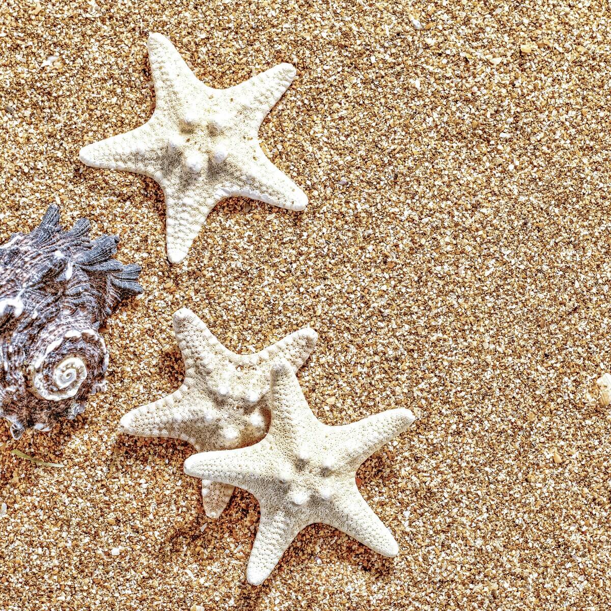 dmytro-tolokonov-Q9juqgVqoPU-unsplash