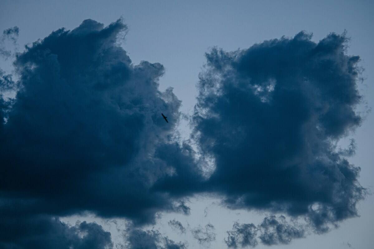 el-swaggy-mBt8Log1r9o-unsplash