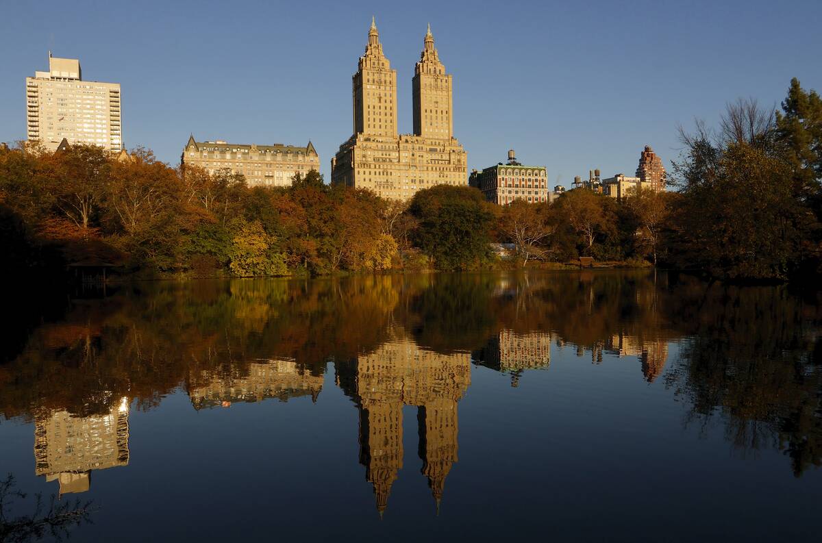 Fall Foliage in Central Park in New York City