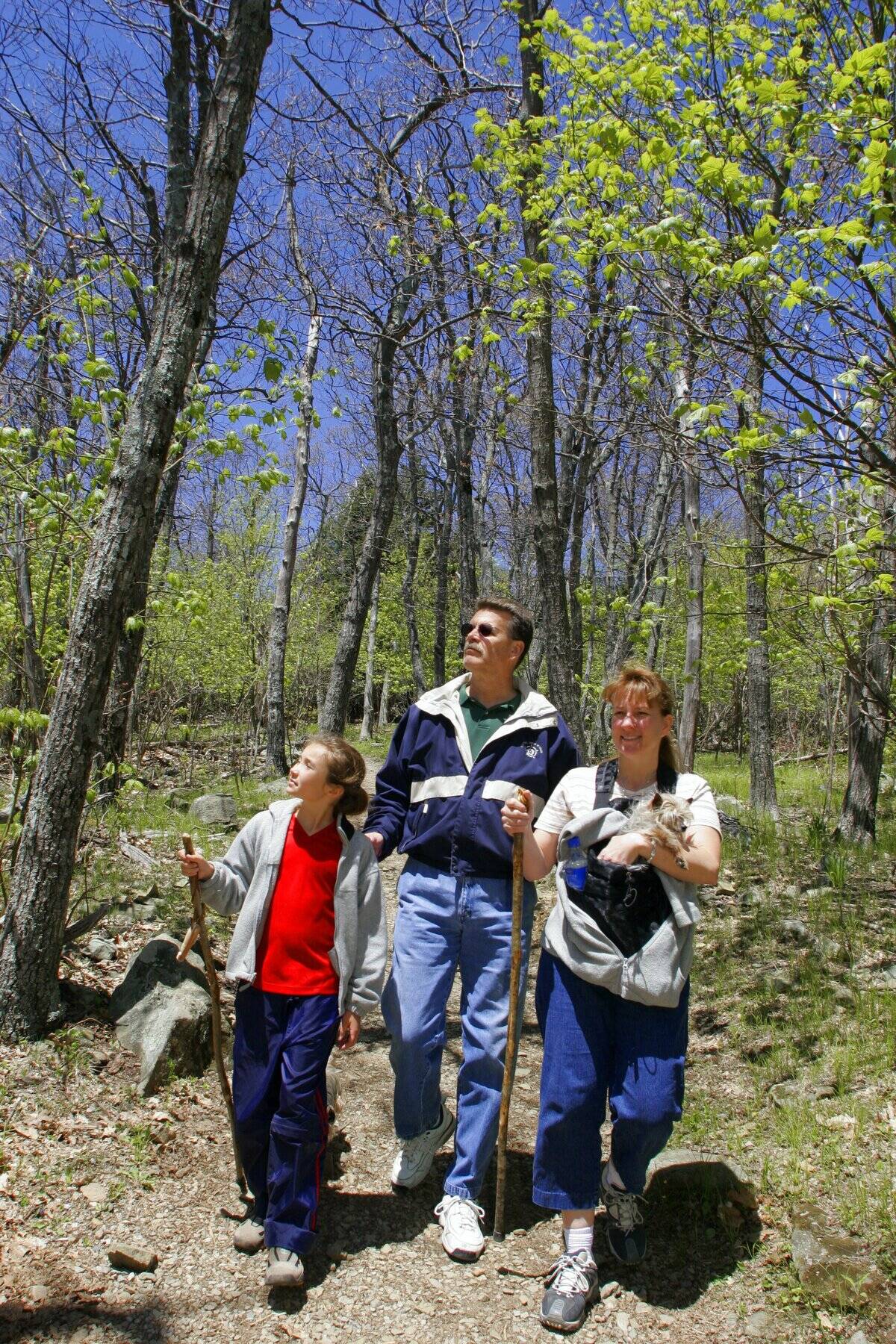 Family Hiking
