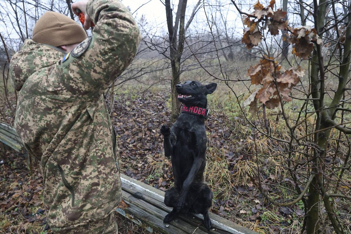 Final training sessions for dog handlers of Ukraine?s 5th Slobozhanska Brigade