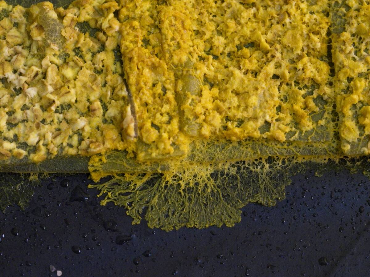 FRANCE-SCIENCE-RESEARCH-RECORD-EDUCATION-BLOB