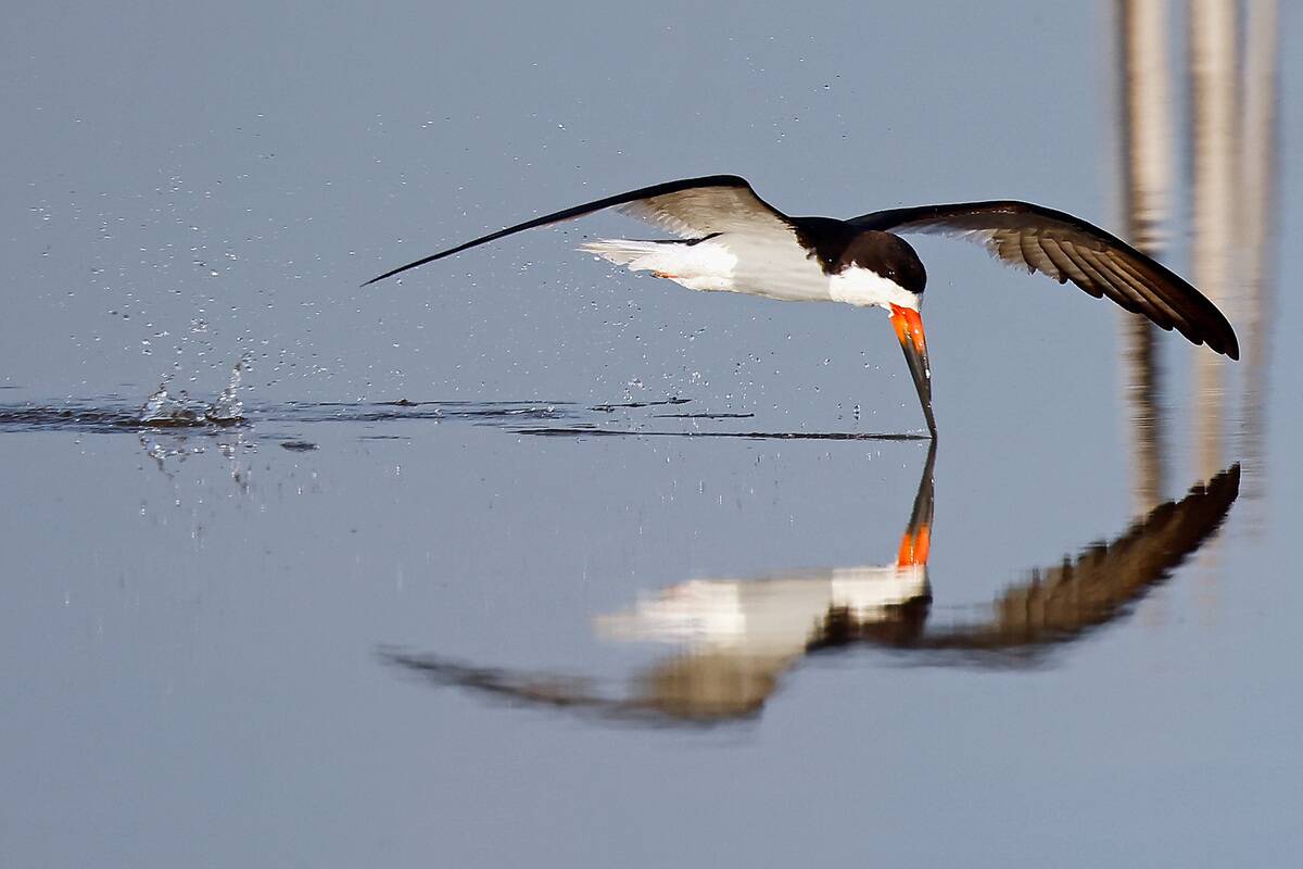 General Views of New York