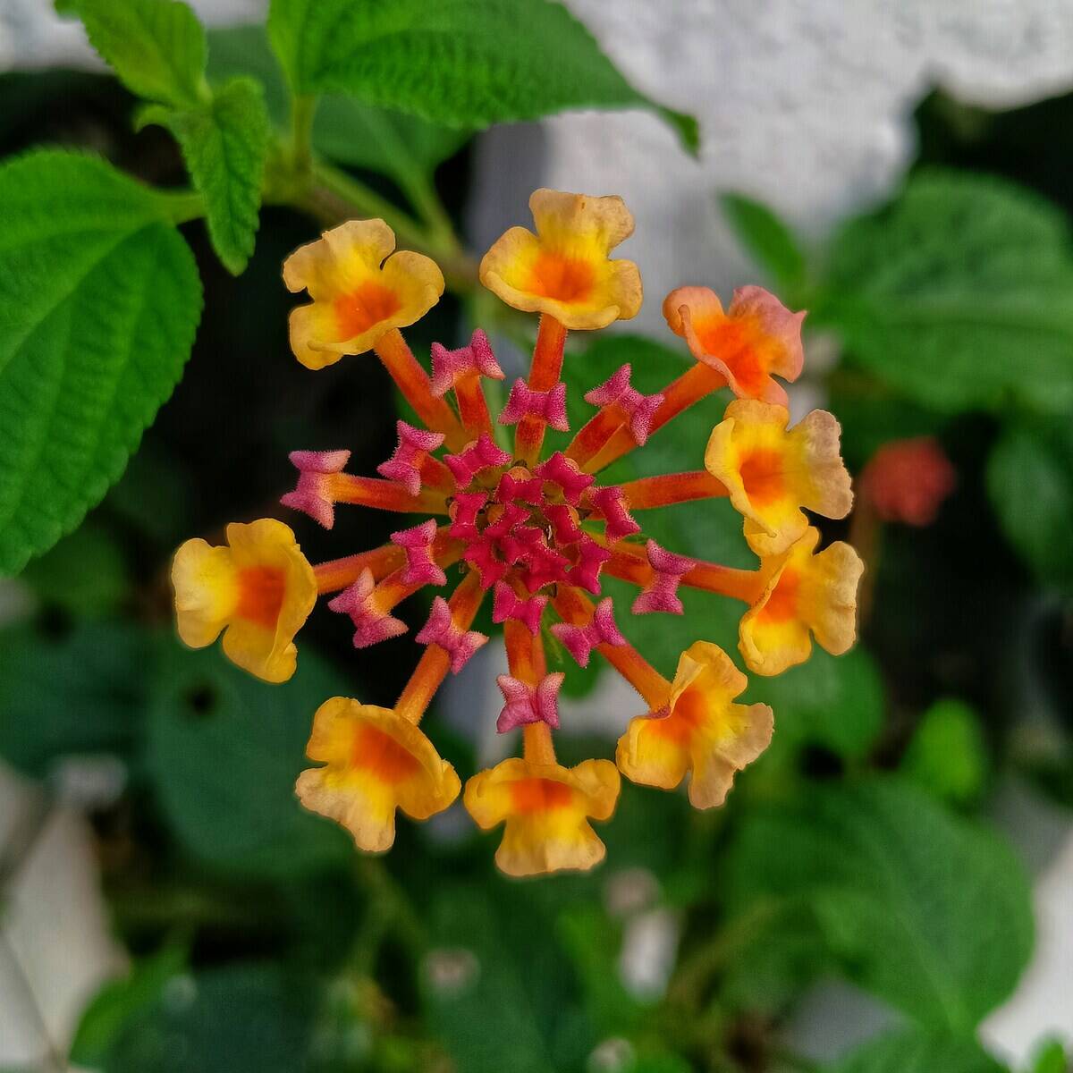 hithesh-shivakumar-SSaukDIvsl0-unsplash