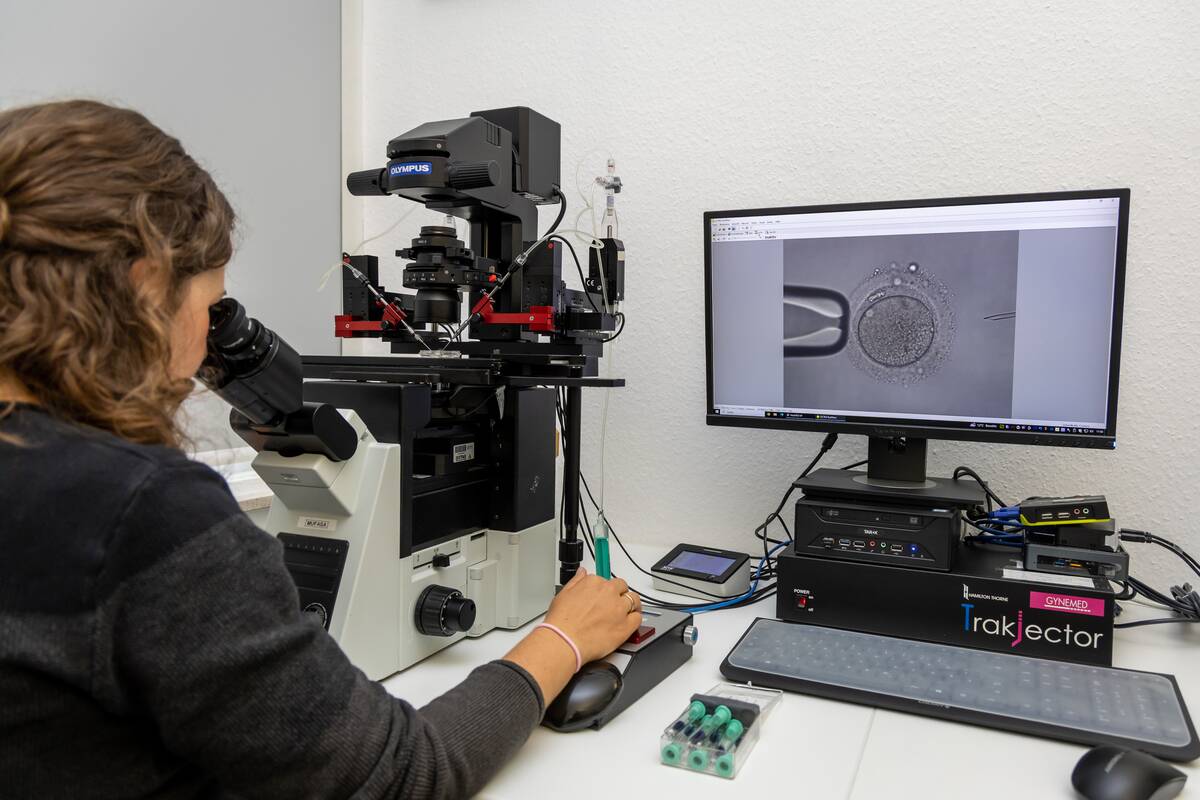 Intracytoplasmic sperm injection in practice