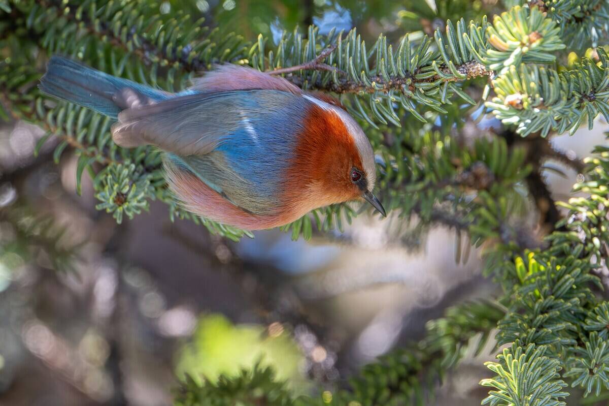 joshua-bergmark-JpQ__2zvnWU-unsplash